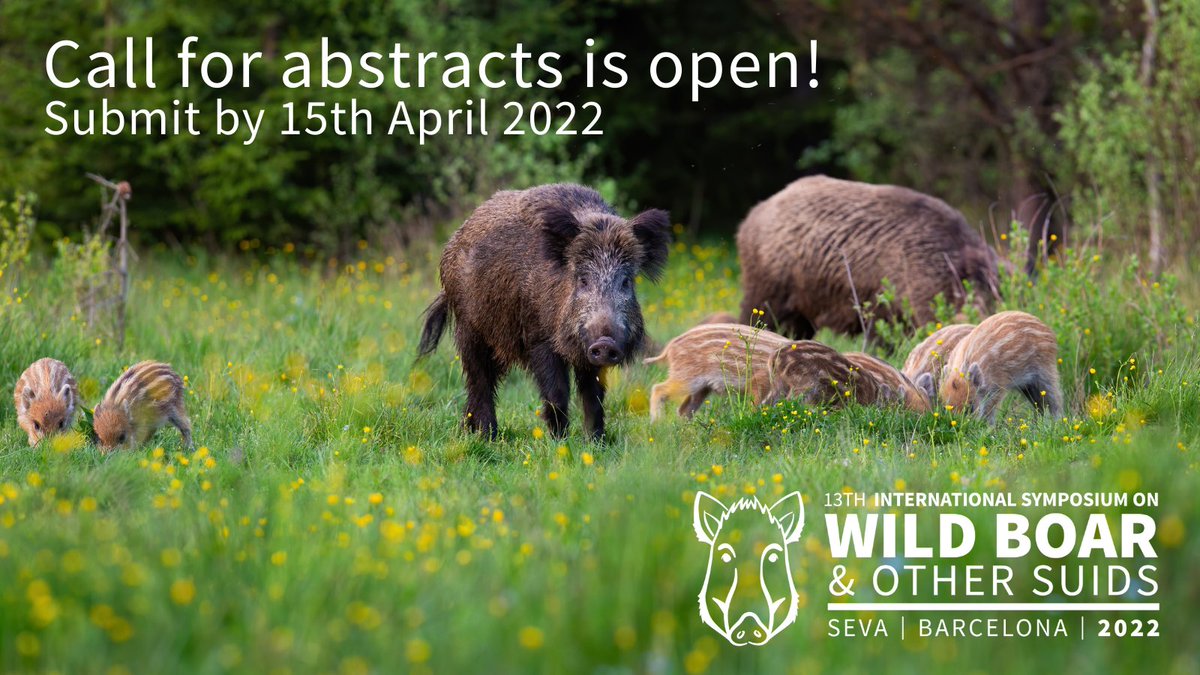 The organizing committee is delighted to announce that call for abstracts for the International Symposium on #WildBoar and other suids  to be held from 6 - 9 September 2022 in #Montseny #Barcelona Learn more➡️wildboarsymposium.com #WildBoarSymposium2022🐗