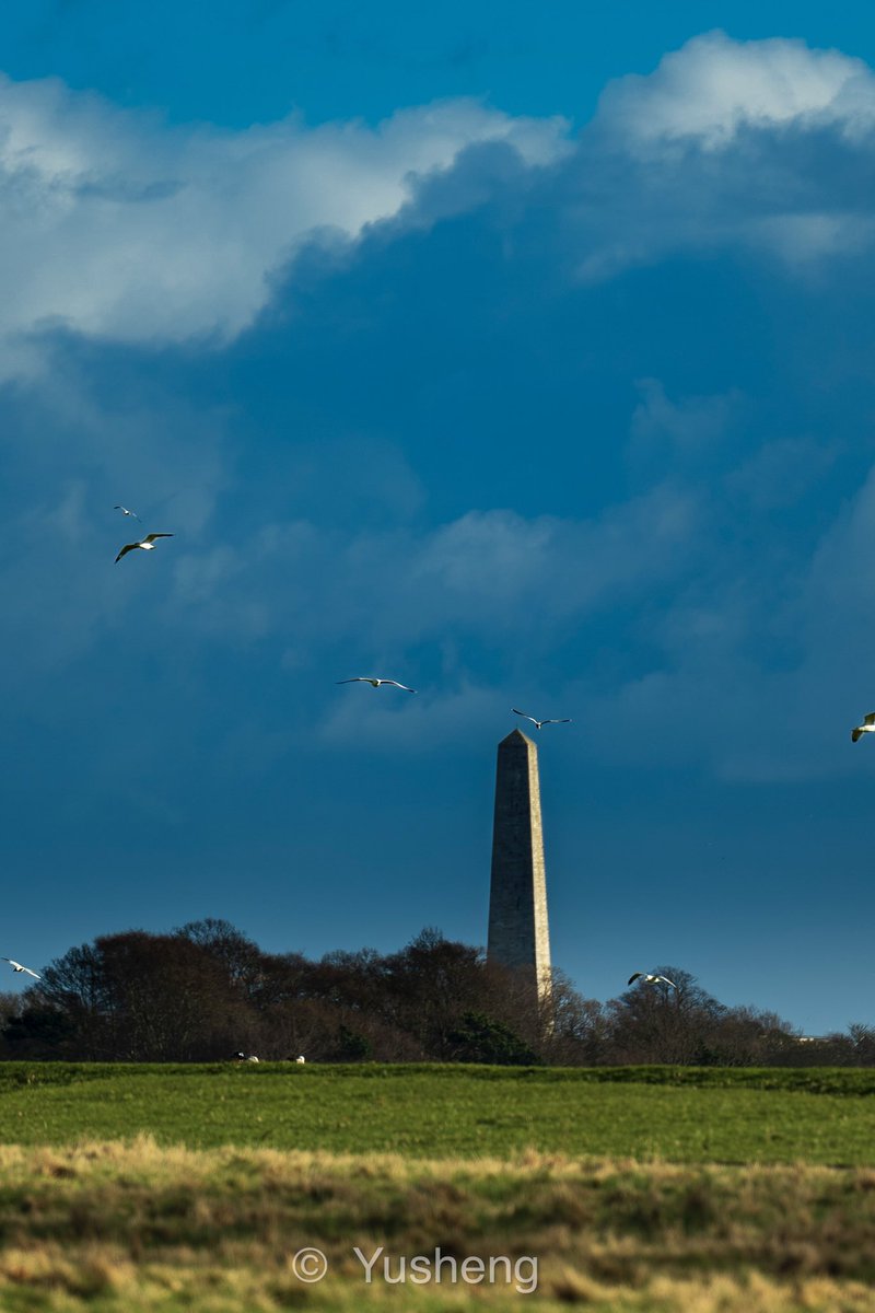 Yusheng_IM's tweet photo. Filmed at the Phoenix Park, Dublin. I’m lucky to have such a good day. https://t.co/kaO6RdabOY