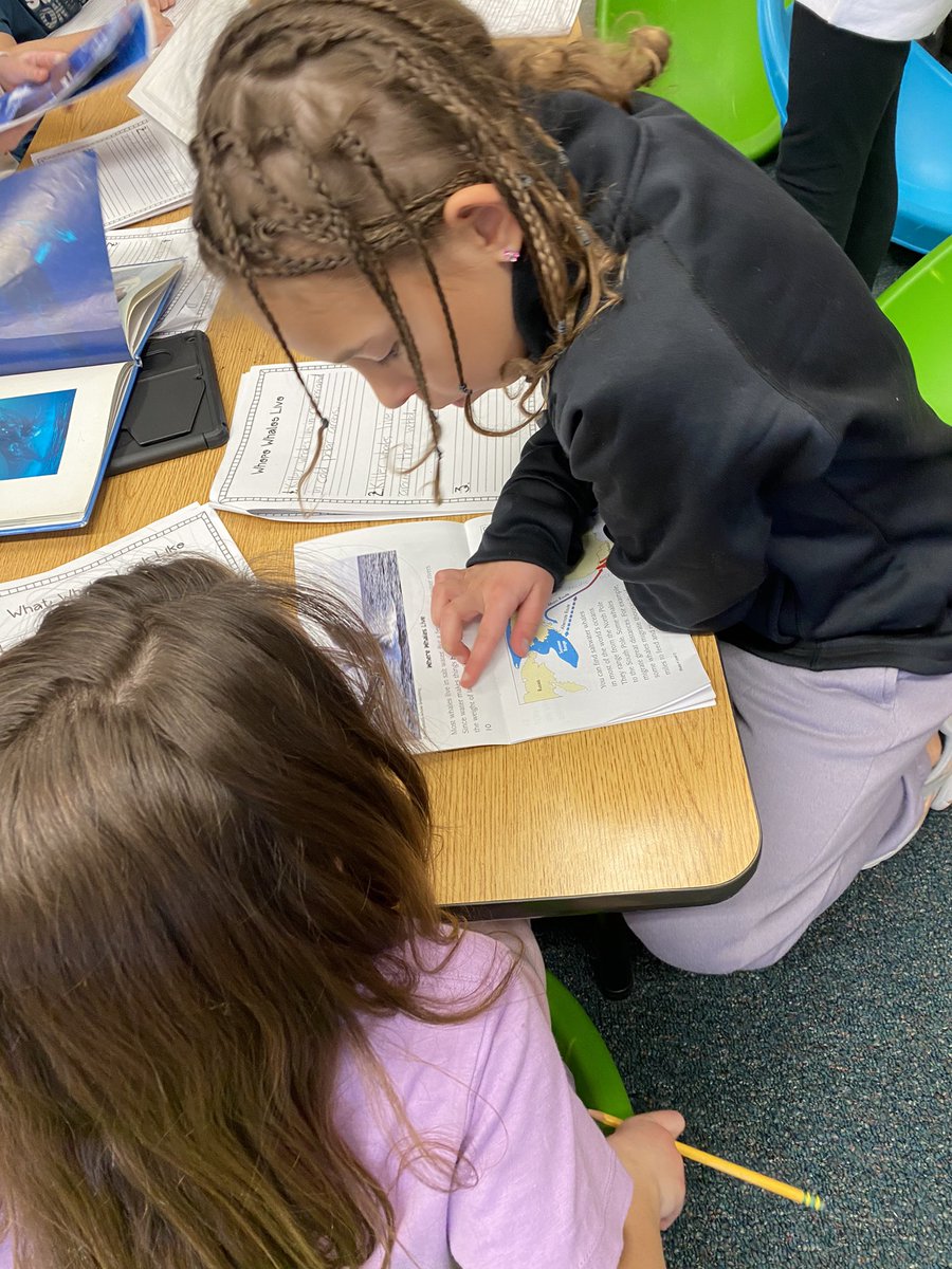 arielsandvik1's tweet photo. Today we are researching where whales live! #MakeADifference https://t.co/ZIca6ieI1A