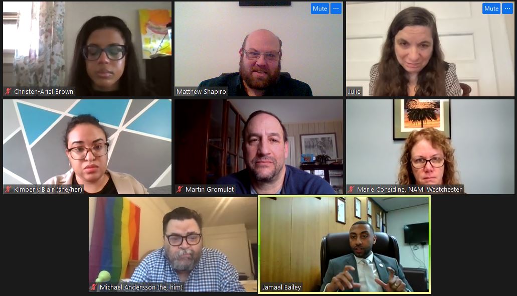 NAMINEWYORK's tweet image. Thank you Sen. @jamaaltbailey for meeting with @NAMINEWYORK, @NAMINYCMetro  &amp;amp; @namiwestchester and supporting our 2022 Action Agenda. Thank you for being such a fierce leader on #MentalHealth, #CriminalJustice &amp;amp; the need to #ReimagineCrisis. #HopeStartsWithYou #Act4MentalHealth