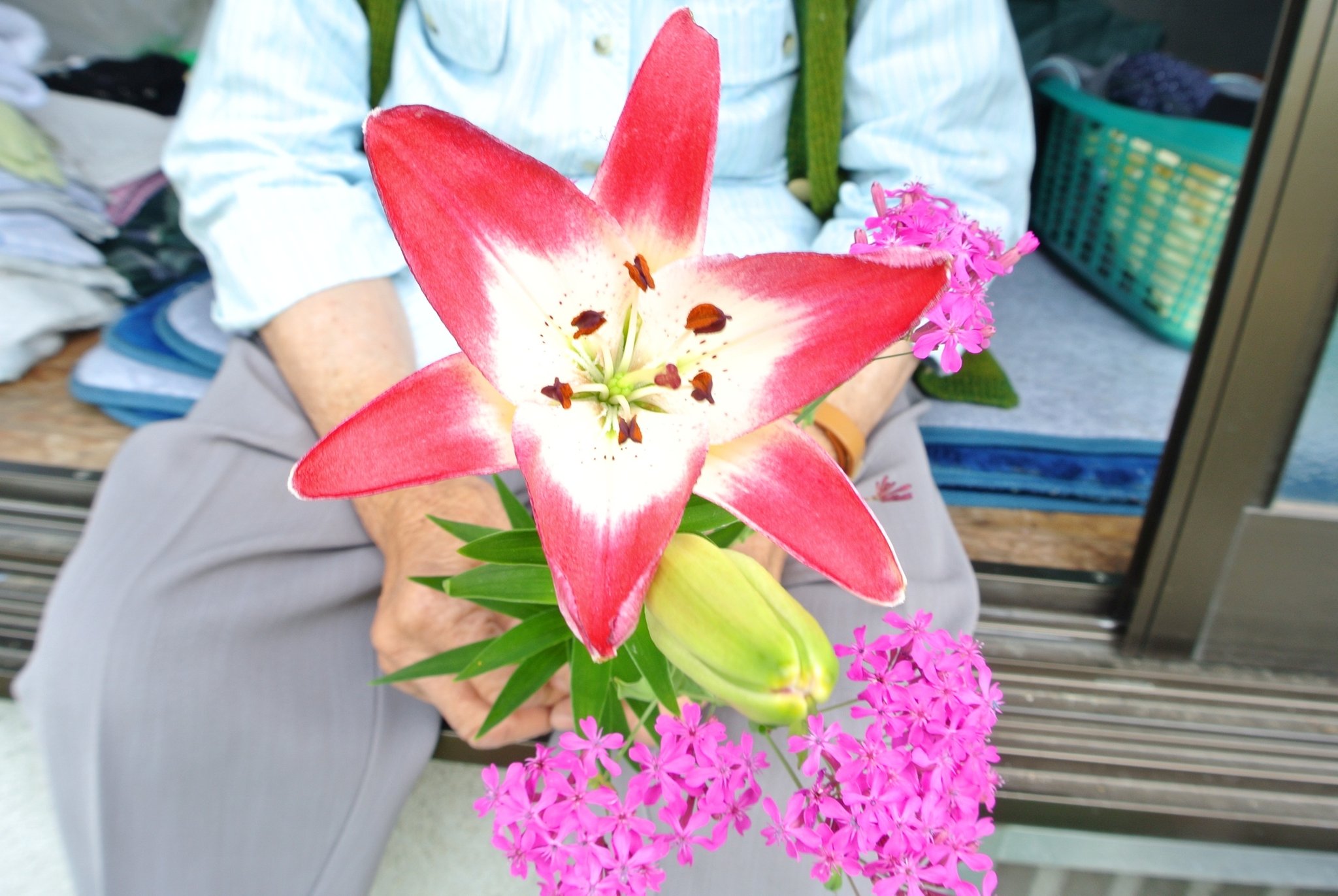 ｋｉｋｕｓｕｉ ｗｅｓｔ ｓ 花が好きだった祖母 花を育ててくれた父 そして私も花が好き 昔祖母が花を好きな人に悪い人は いないと聞いた 私もそんな人になりたい 花のバトン T Co Hjpuaqnbtb Twitter