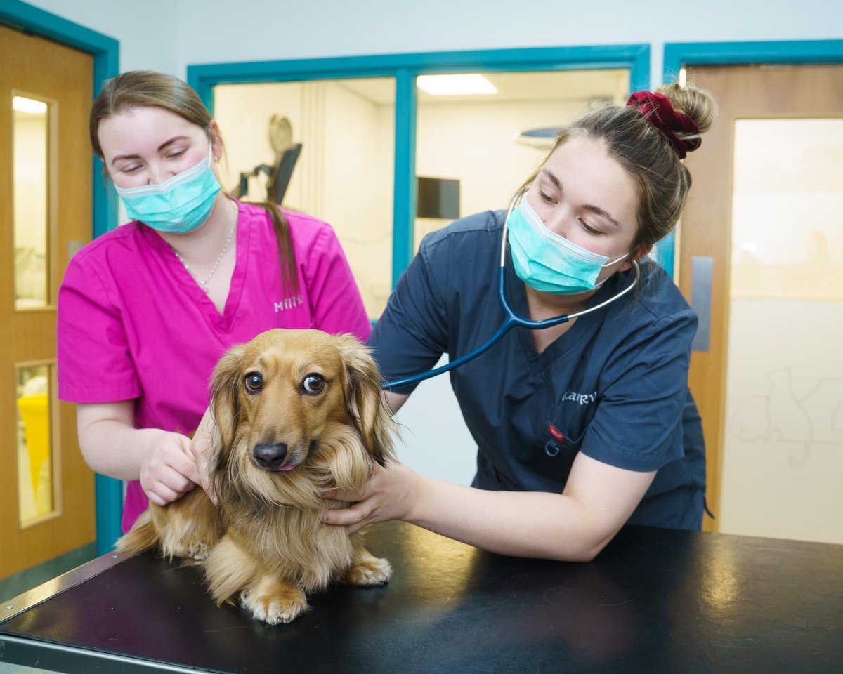 Woodcroft Veterinary Group tweet media