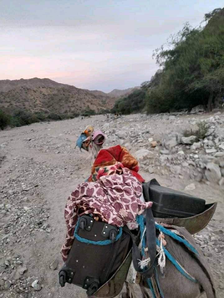 SaddikSh's tweet photo. TPLF forces Destroying villages, towns and City's of Barahle, Konnaba,  killing innocent community members and displacing Communities in Norther Zone of Afar region. But the Federal Gov. And the International community takes silence. 
@UNGeneva @AbiyAhmedAli @kontiem https://t.co/o2aIDuTdlE