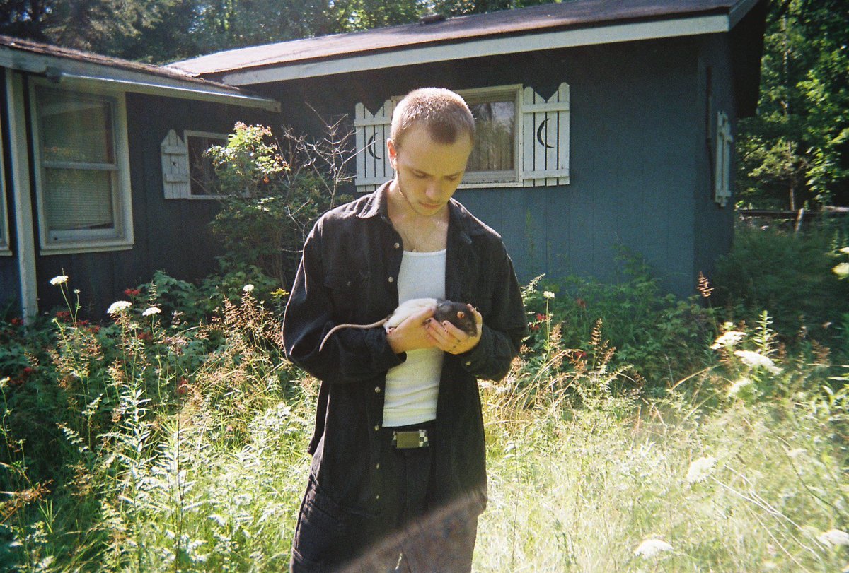 𝔓𝔥𝔞𝔫𝔱𝔬𝔪 tweet media