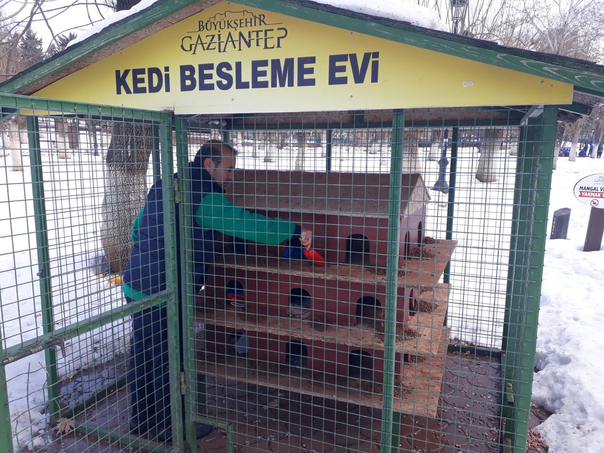 GAZİANTEP BÜYÜKSEHIR BELEDIYESI DOĞAL HAYATI KORUMA DAIRE BAŞKANLIĞI OLARAK SOKAKTAKİ CAN DOSTLARIMIZI HER GÜN OLDUĞU GİBİ BU GÜNDE BESLEDİK #ONLAR BİZE EMANET ##