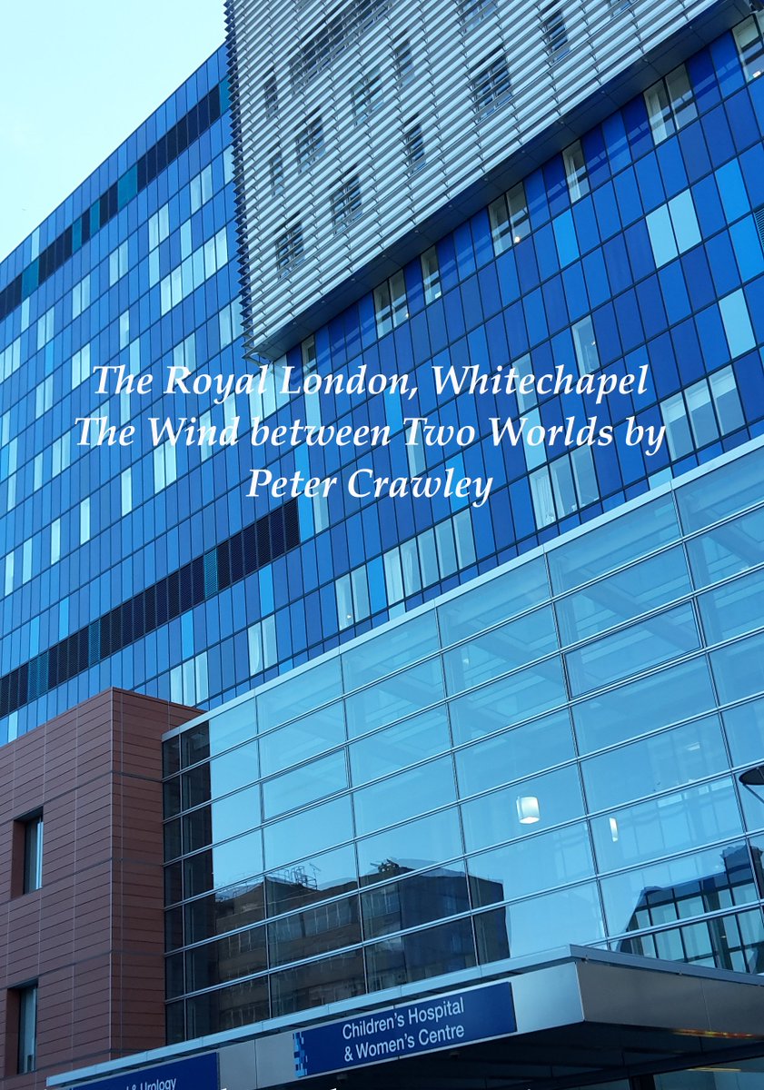 New Year's morning, Simon visits the hospital to ask after the rough sleeper, Old Tom, and is surprised to see Soraya waiting outside Intensive Care.
#readers #authorscommunity #publishing #readersofinstagram #read #booknerd #poetsofinstagram #bookstagrammer #booklovers #kindle