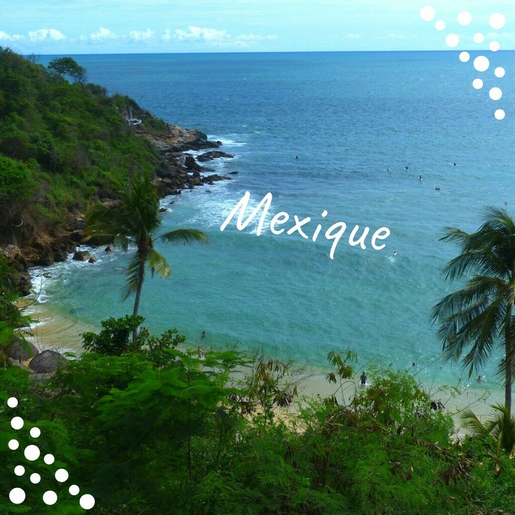 Freepackers's tweet image. Situé en Amérique centrale, le Mexique est réputé pour sa biodiversité entres les plages du pacifique et du golfe du Mexique, mais aussi pour ses montagnes et jungles abritant les ruines d'un pays regorgeant d’histoire. 🇲🇽

Grâce à notre projet auprès de… instagr.am/p/CZrwanboUWs/