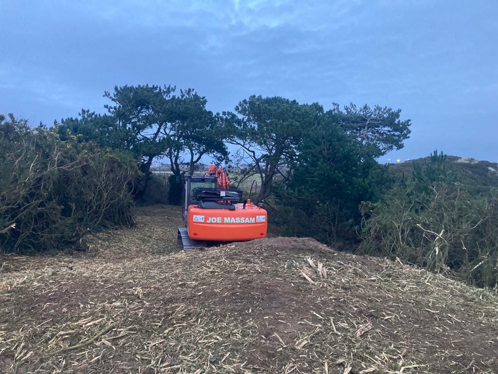 MartinTwist2's tweet photo. Some serious scrub removal on the 13th @royalbirkdale_ 
Once flailed roots will be removed and dunes restored.
13 tonne machine shows scale of work involved 
Great project to be involved in 
#topgolfcourse https://t.co/uArDuYzDCZ