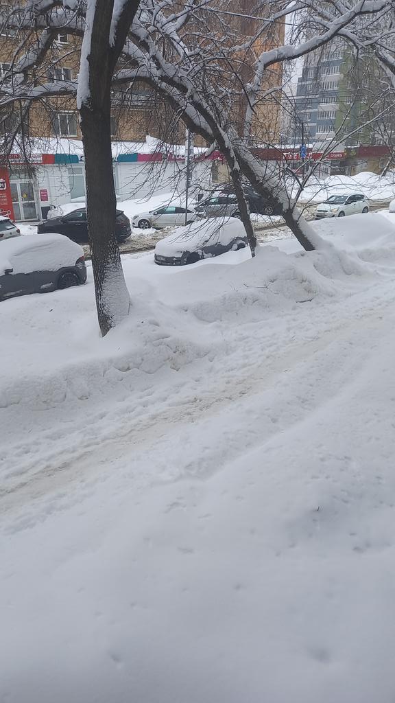 <a href="/Osipov63/">Alexander Osipov</a> <a href="/SamaraProk/">Прокуратура Сам.обл.</a> <a href="/E_Lapushkina/">Елена Лапушкина</a> <a href="/SamMobilePriem/">Мобильная приемная Губернатора Самарской области</a> Город в безобразном состоянии, раньше хоть в центре чистота была, сегодня ездила туда по делам, там Ж. А чуть дальше и говорить не стоит.
И что интересно дворы расчищены, где зона ответственности УКашек, а гор дороги, проходы и проезды завален горами снега, из 3 полос на дороге 1