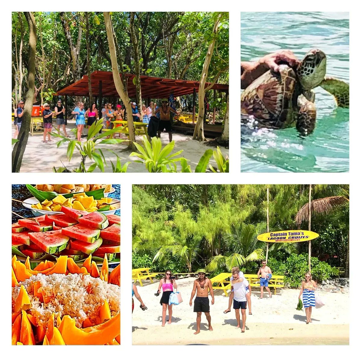 A beautiful day out on Muri Lagoon yesterday. Great snorkelling, great food and we got to see a turtle 🐢