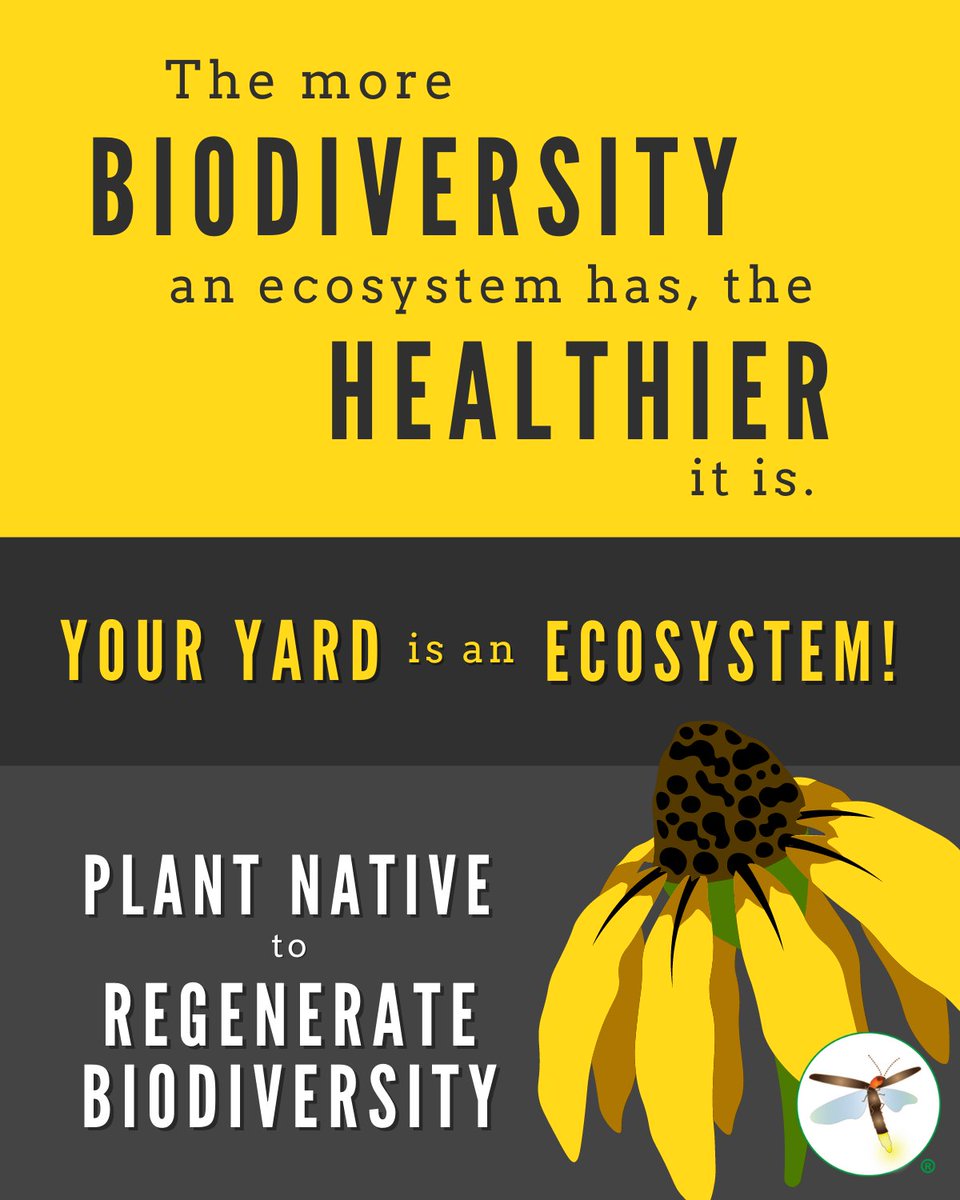 homegrownnationalpark tweet media