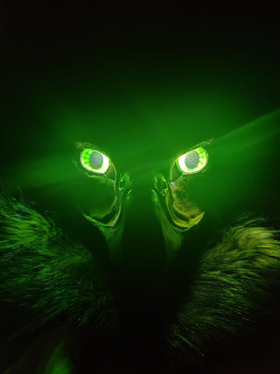 GryphonDark's tweet photo. #fursuit #gryphon https://t.co/blIm9YWn6o