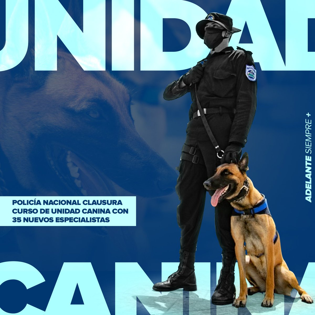 #EsperanzasVictoriosas| La Dirección de Operaciones Especiales Policiales (Doep), llevó a cabo la clausura del curso de unidad canina haciendo entrega de títulos a 35 nuevos policías especialistas y sus canes. 🇳🇮👮‍♂️🦮

#Nicaragua
#7Febrero