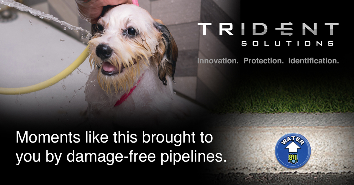 williamfrick's tweet photo. Do not let unmarked utilities interrupt moments like this with your pup! 🐶

Our Rhino UV Armor+ Surface Markers™ are durable surface markers that can be permanently attached to almost any surface! ⚠️

https://t.co/84V9rxnSzq

#utilities #utilityindustry #safety #marking https://t.co/L1DyermFqE