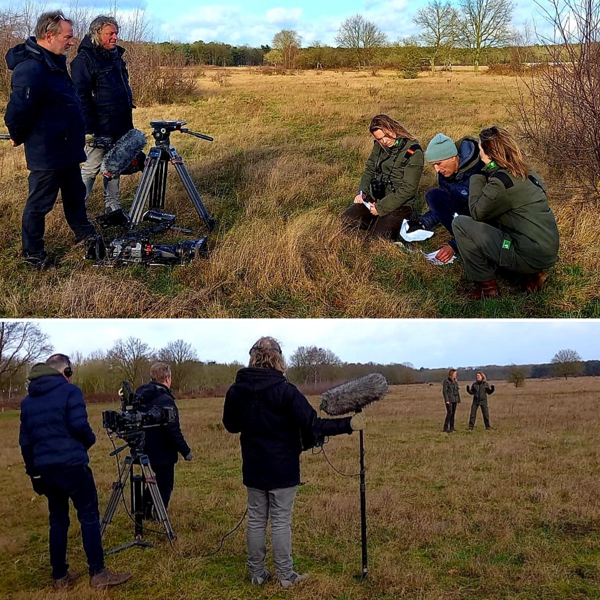 Boswachter Poulussen tweet media