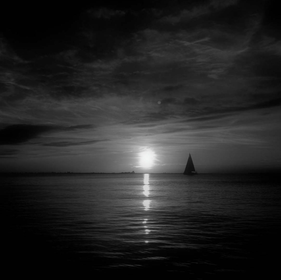 alexxf3's tweet image. 