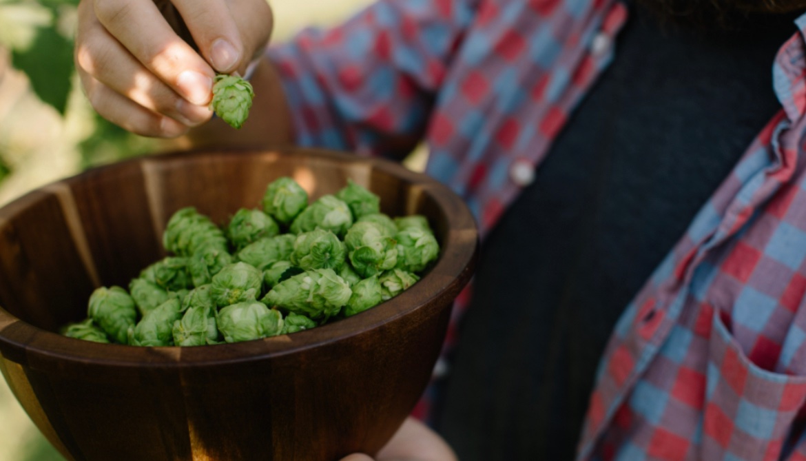 IBEX Grows tweet media