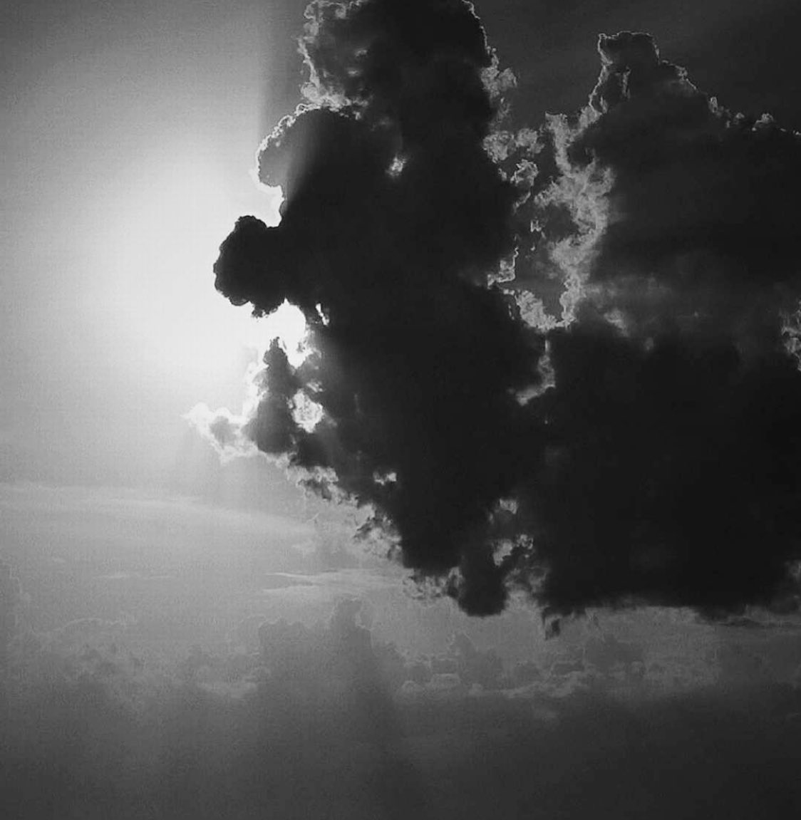 alexxf3's tweet image. 