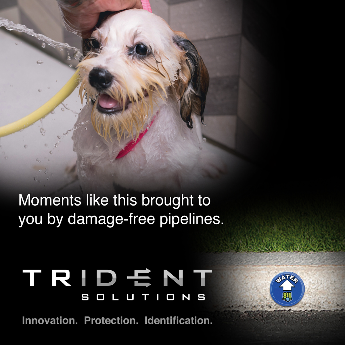 Do not let unmarked utilities interrupt moments like this with your pup! 🐶

Our Rhino UV Armor+ Surface Markers™ are durable surface markers that can be permanently attached to almost any surface! ⚠️

tridentproducts.com

#utilities #utilityindustry #safety #marking