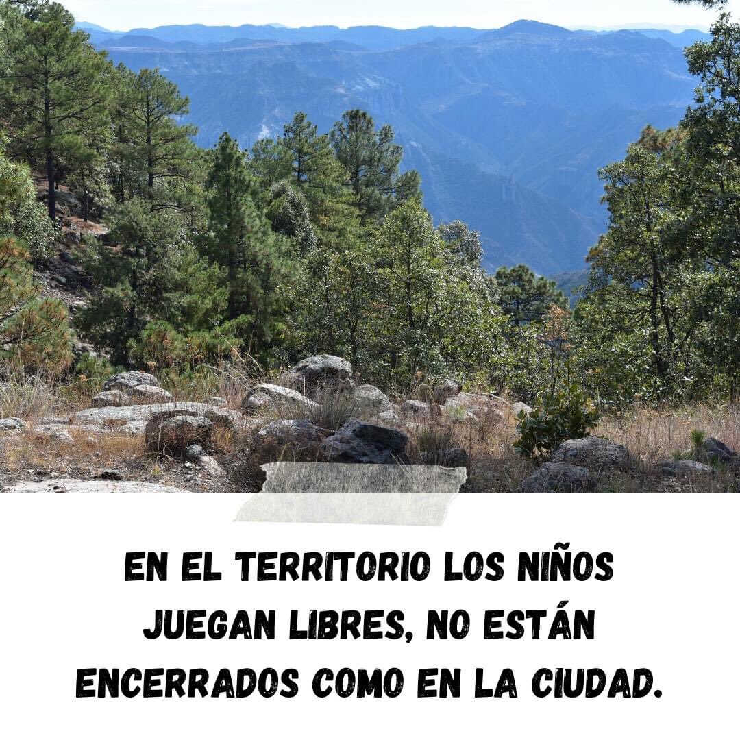 ATMogotavo's tweet photo. Les queremos compartir algunas reflexiones sobre el #Territorio de la comunidad de Mogótavo. https://t.co/nxayqECknm