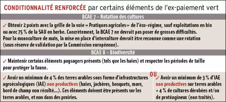 Vous aimez l'#écorégime de la #PAC2023 ? Vous adorerez la nouvelle #conditionnalité. Combien faut-il de #haies🌿🌳🌿, mares et #jachères🏵️ pour être dans les clous ? Spoiler : ce n'est pas le moment d'abattre des arbres. Dans le détail ici📰🧐 :
reussir.fr/grandes-cultur…