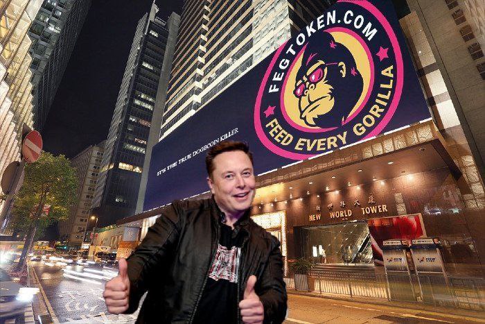 <a href="/elonmusk/">Elon Musk</a> So this is fact 

$feg

<a href="/FEGtoken/">FEG (Feed Every Gorilla)</a>