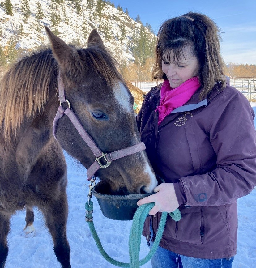 LauraPaiement's tweet photo. Check out these amazing #moveandgroove pics from @sd83schools! Outside moving with their horse. #83moves Lunging, ride and talk, being kind, planking, and balancing! https://t.co/6Ea9iDiRnW