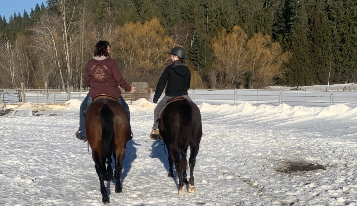 LauraPaiement's tweet photo. Check out these amazing #moveandgroove pics from @sd83schools! Outside moving with their horse. #83moves Lunging, ride and talk, being kind, planking, and balancing! https://t.co/6Ea9iDiRnW