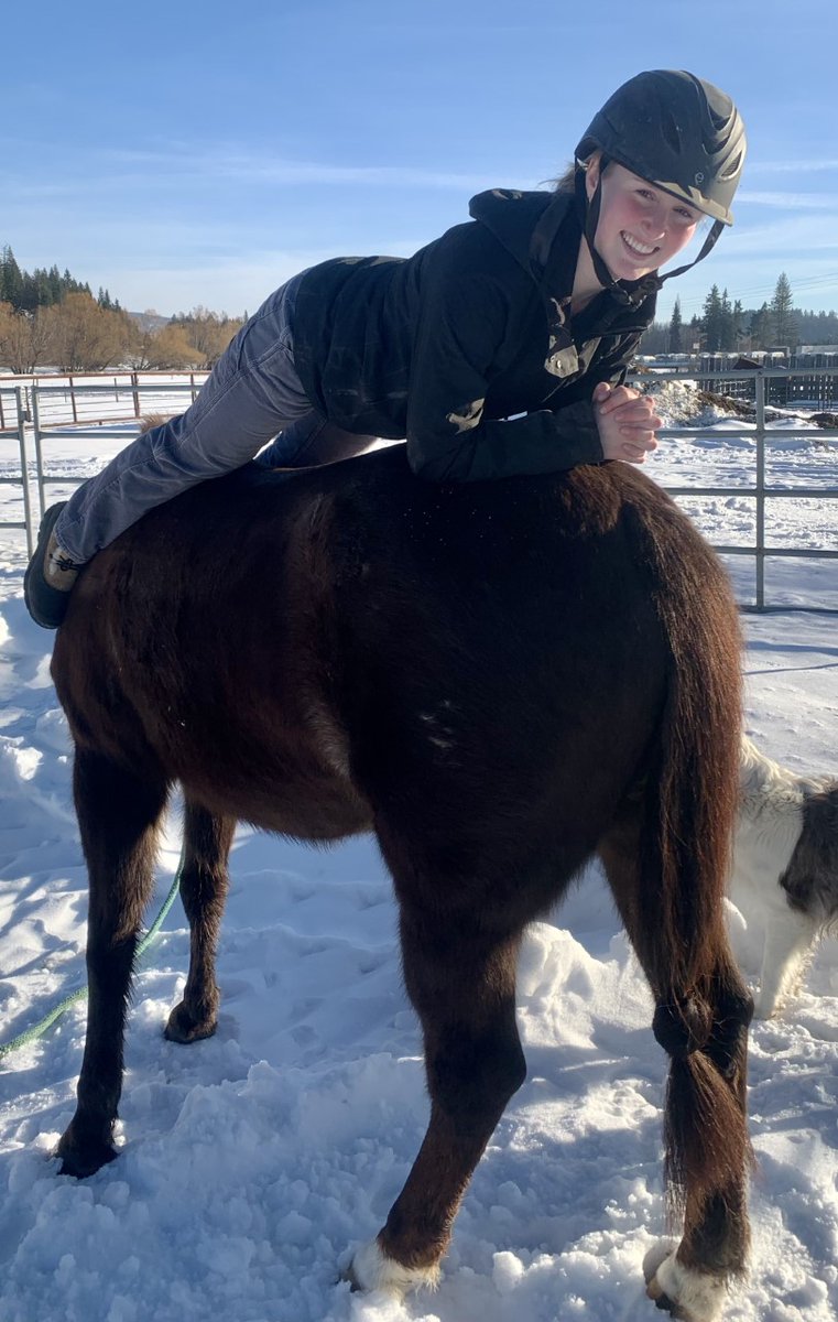 LauraPaiement's tweet photo. Check out these amazing #moveandgroove pics from @sd83schools! Outside moving with their horse. #83moves Lunging, ride and talk, being kind, planking, and balancing! https://t.co/6Ea9iDiRnW