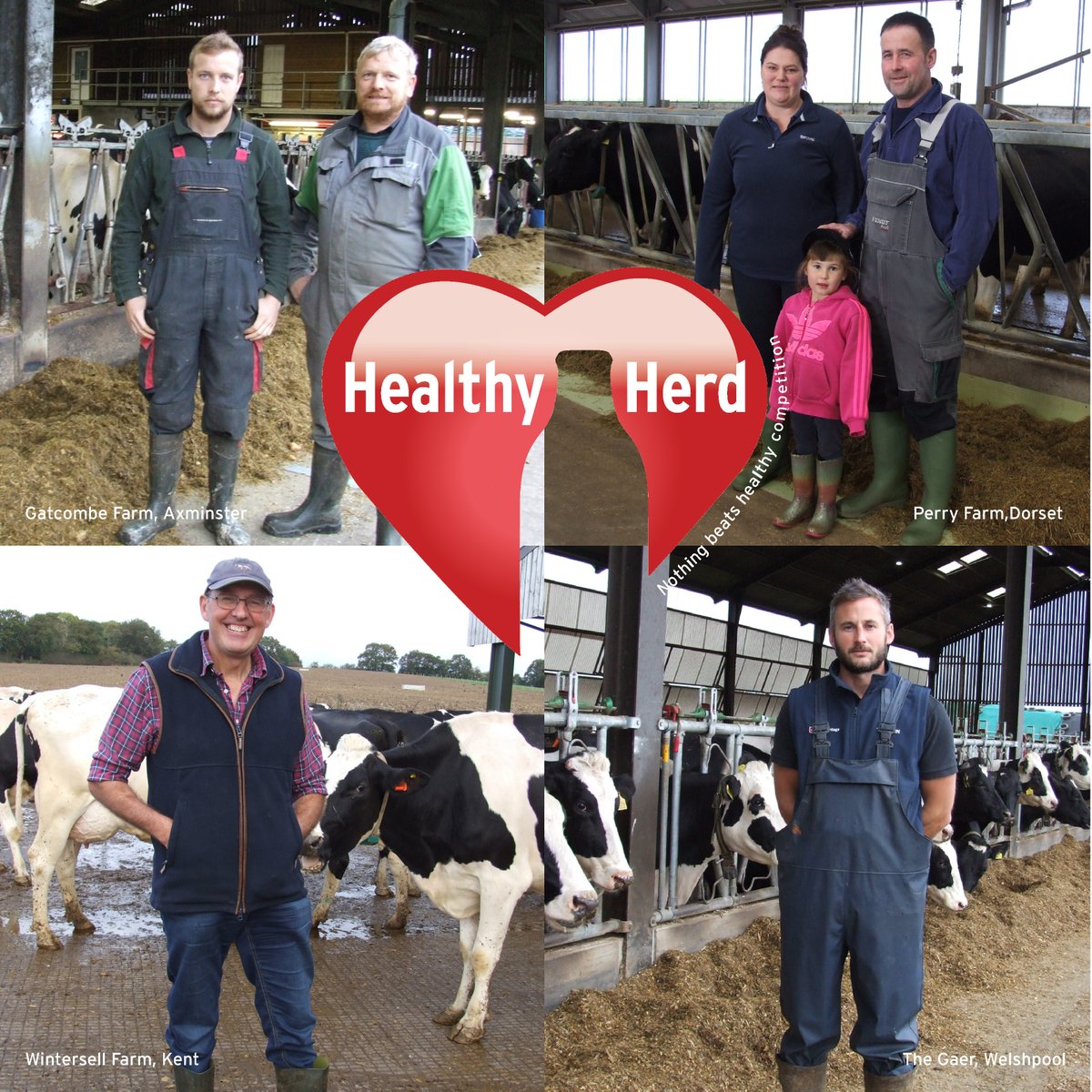 semexUK's tweet photo. Join us at 1 o'clock on Wednesday afternoon as we announce the Healthy Herd Winner for 2021 on Facebook live📱💻
#SemexSolutions #healthyherd https://t.co/iqQDGqtfPz
