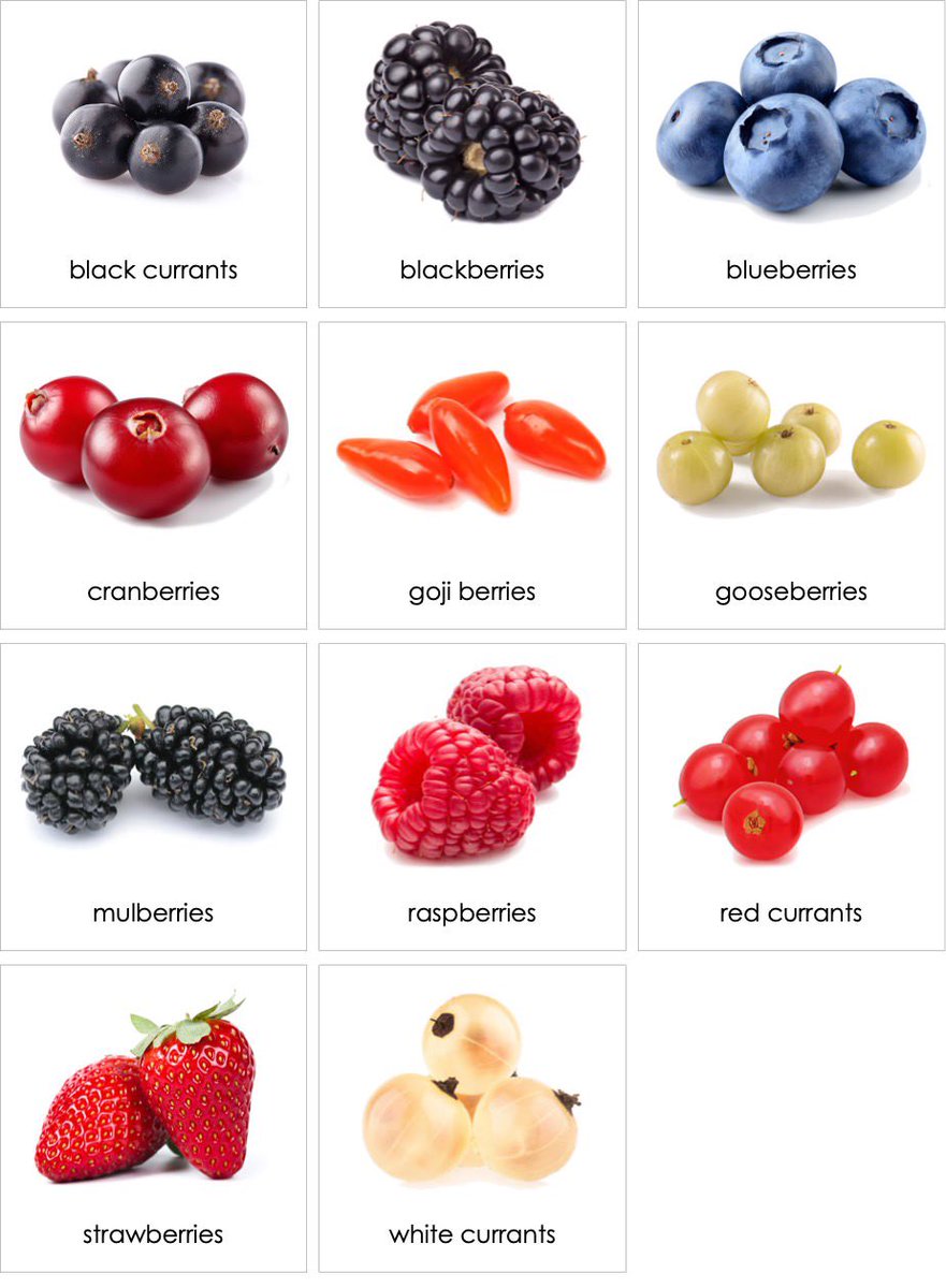 muratbayizit's tweet photo. Türkiye; BERRY (Ahududu, böğürtlen ve yabanmersini)üretimi ve ihracatı için çok uygun bir coğrafyadır.Yurtdışından getirilen fidanlar yerine Yalova Atatürk Bahçe Kültürleri Araştırma Enstitüsü yerli çeşitlerin üretimine geç olmadan başlamalıdır.     #Teketekbilim #fatihaltayli https://t.co/tgzGfJ38F5