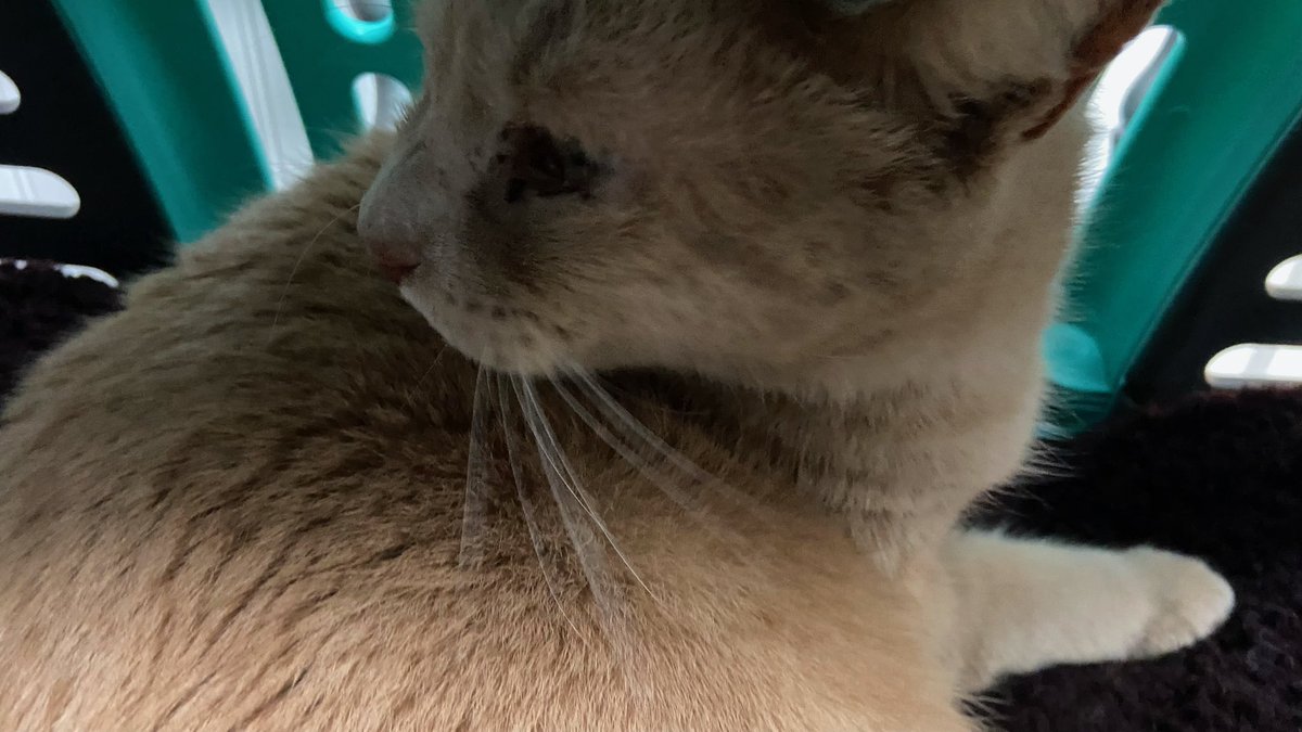 morris is currently in surgery! wish him
luck :))