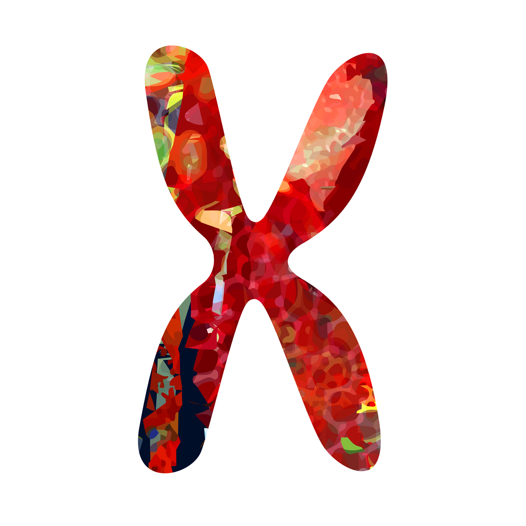 phenochroma's tweet photo. Phenochroma #97

#life #human #unity #oneofakind #singular #different #perfect #evolution #unique #together #love #science #art #visual #color #colors #print #printdesign #nft #nftcollector #artcollector #collectible #collection https://t.co/QKU0SQZ7Bv