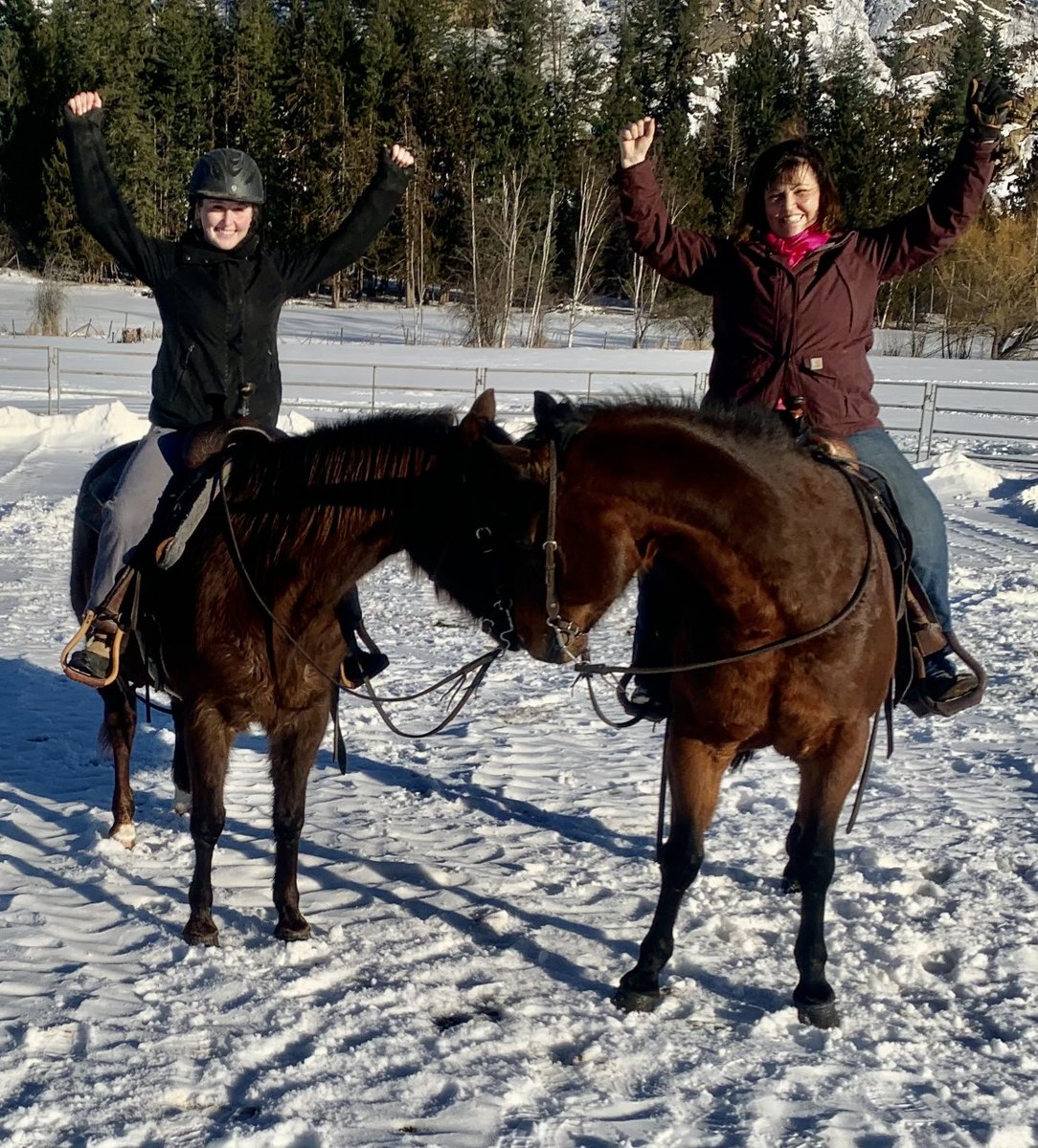 LauraPaiement's tweet photo. Check out these amazing #moveandgroove pics from
@sd83schools staff! Outside moving with their horses. #83moves Lunging, balancing, doing what makes you feel good & celebrating! https://t.co/SuxllYPTm0