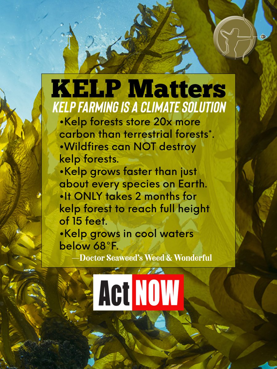 GoldGallant's tweet photo. Is Kelp Farming one of Climate Action’s silver bullets?

It sure looks like it.💚

 Not only will KELP help restore biodiversity, it will restore human health too!

Click HERE👇
https://t.co/tzygv483Ra https://t.co/20luozhjlc