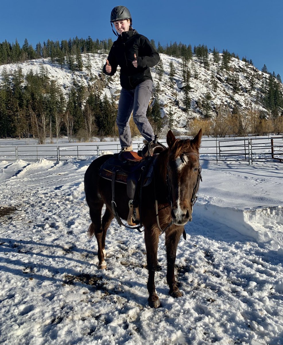 LauraPaiement's tweet photo. Check out these amazing #moveandgroove pics from
@sd83schools staff! Outside moving with their horses. #83moves Lunging, balancing, doing what makes you feel good & celebrating! https://t.co/SuxllYPTm0