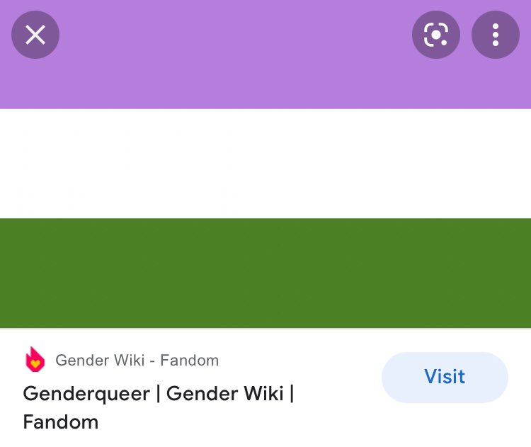 i2platonic's tweet photo. i thought i was going mad but the "terf" flag and genderqueer flag look so similar https://t.co/SRV8Ps6OYF