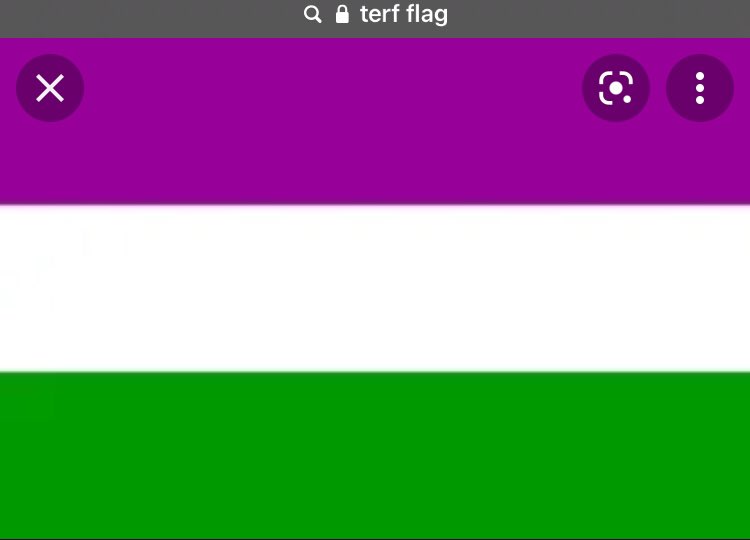 i2platonic's tweet photo. i thought i was going mad but the "terf" flag and genderqueer flag look so similar https://t.co/SRV8Ps6OYF