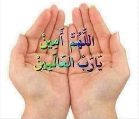 khalidyalthani's tweet photo. @rosha1204 @kambos111 ❌❌❌❌❌❌❌❌❌❌❌

🛑 " If you ask, ask #_O_Allah .
 #_O_Allah loves to ask His servants,
 And they pray a lot because of the good thought of it.
#_O_Allah  made a question ... #_O_Allah save you- 🛑 https://t.co/TQzwf0xYqn