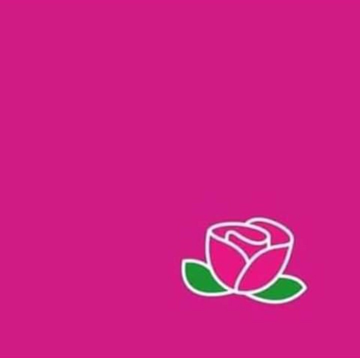 _derek29_'s tweet photo. #letlenilead
#Kakampink 
#LeniKiko2022 
#LeniWalangAatrasan 
#LeniKiko2022 
#LeniForPresident2022 https://t.co/nQblingnSb