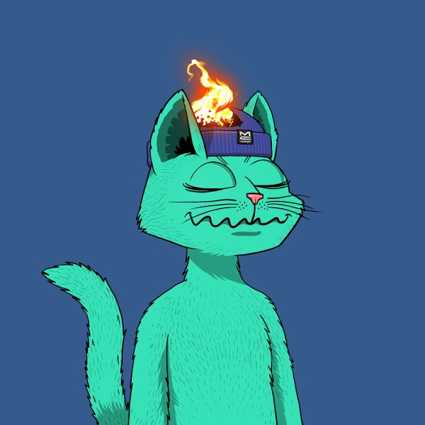Pretty fired up to have joined the <a href="/MarsCatsVoyage/">Mars Cats Voyage</a> community 🚀 Been super impressed already - gonna be a fun ride! 😻😽