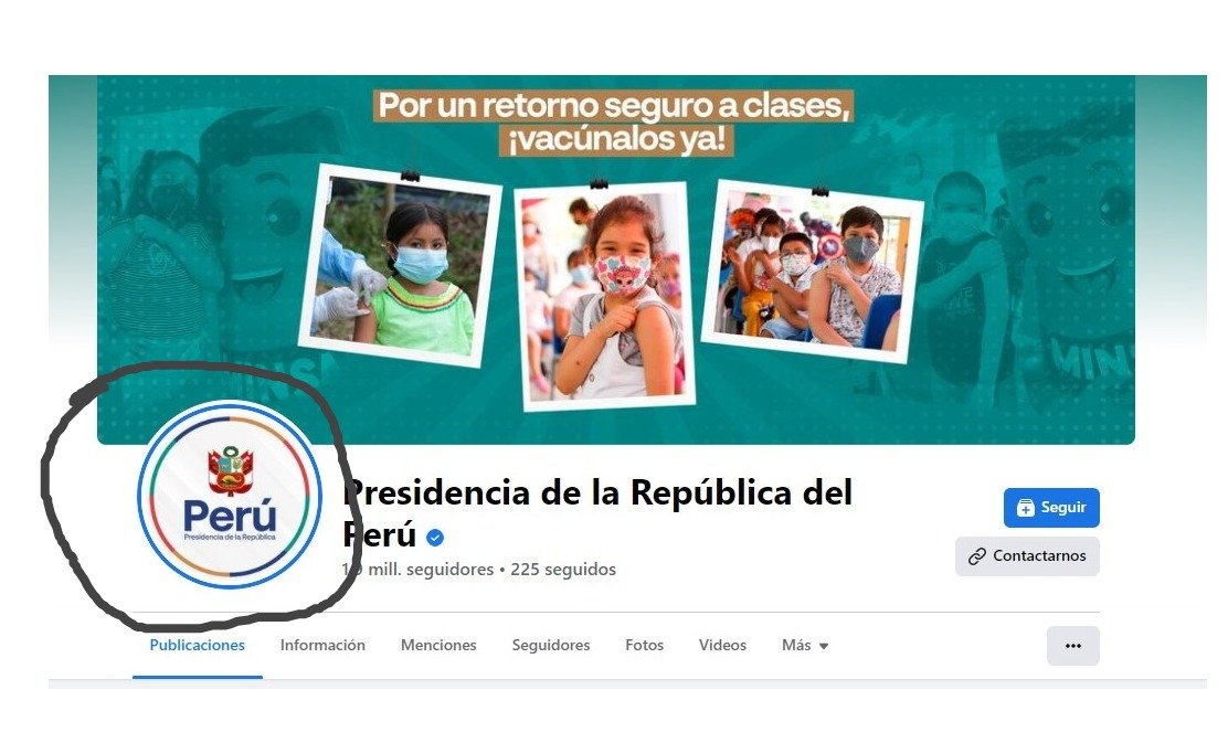 JoseLuisGil1000's tweet photo. Página oficial de la presidencia de la república. Nótese el Escudo Nacional, reodeado de los colores de la "bandera plurinacional" de Evo. Provocación? Ignorancia? Ideología? Mensaje escondido? Qué opina Ud. amable ciudadano? https://t.co/dRqXuPNoxP