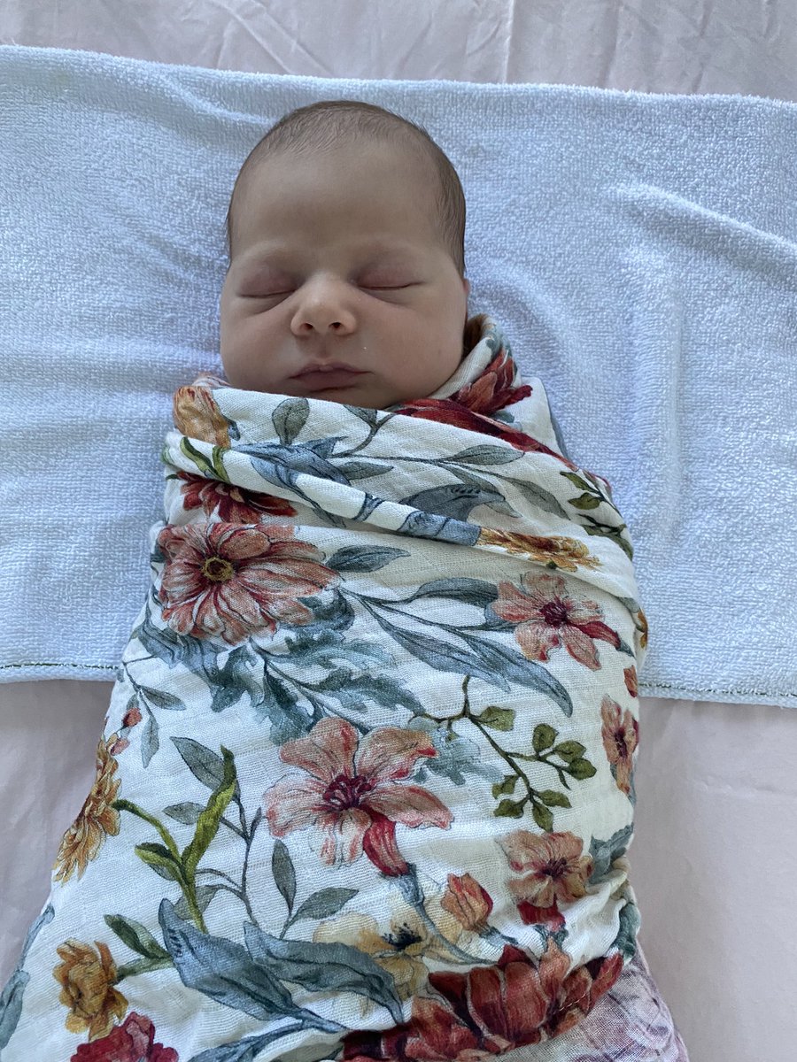 Casey Budd tweet media