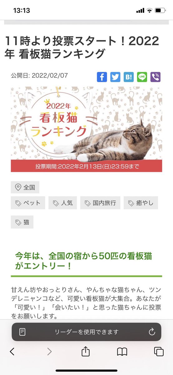 mamessssh's tweet photo. 楽天トラベル看板猫ランキングにうちの猫もエントリーしてます🐱❣️
No.42テト🐱🐱 https://t.co/vYVCxh5z5P