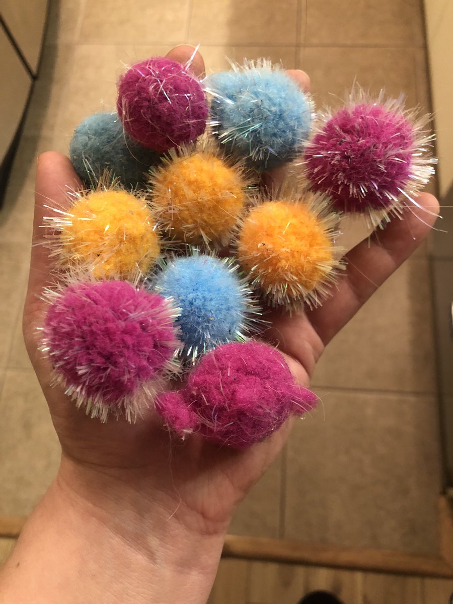 Renovating the basement and discovering where all the cat’s toys are at.