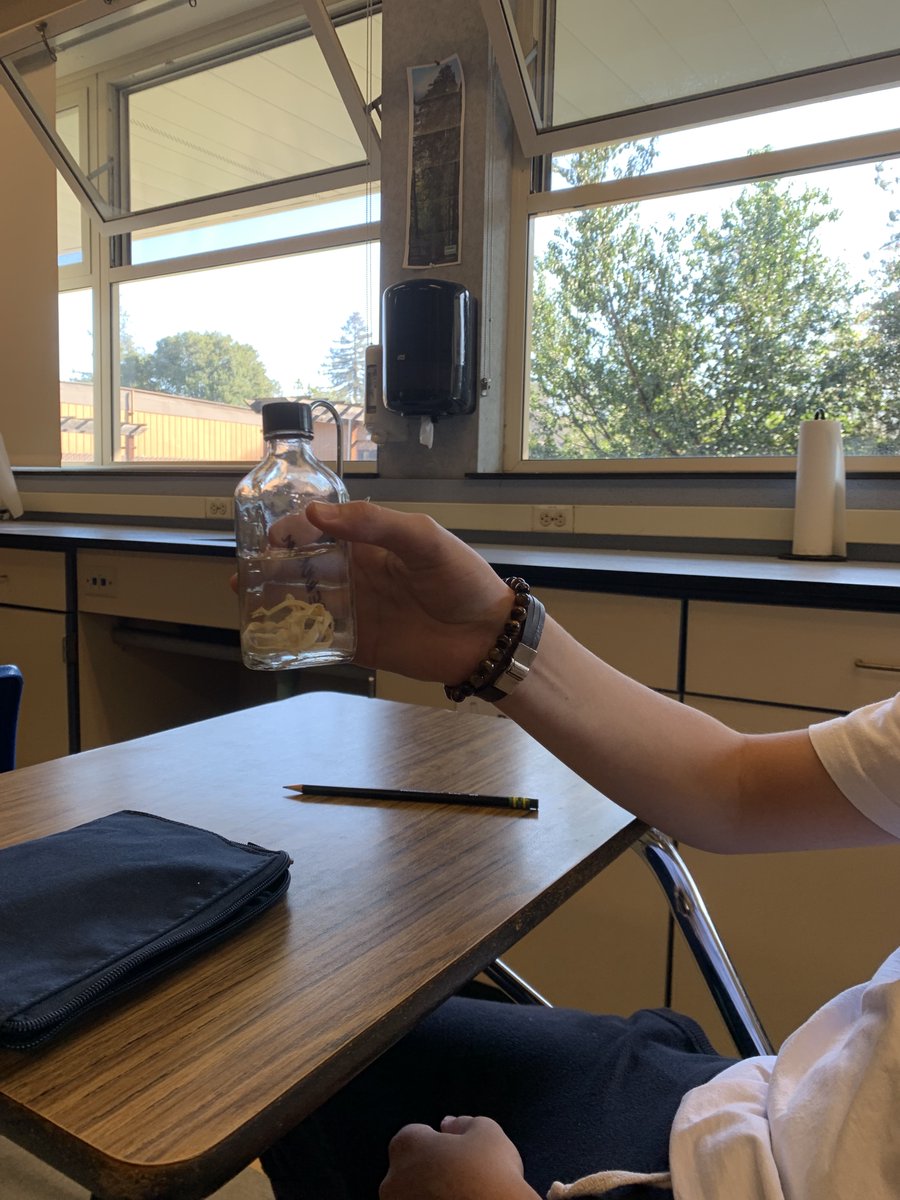 kwilson_klw's tweet photo. Students learned about a career in veterinary medicine today. #LASDSTEM #STEMCareerDay @lasdk8 @LAEFOnline @stemloyola https://t.co/dW5xVl0Dem