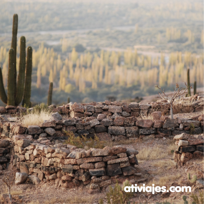 ativiajes's tweet photo. 🌅
La Rioja
Ubicada en el noroeste del país. Predomina un relieve montañoso de escasa vegetación. Algunos de sus atractivos principales son, el Parque Nacional Talampaya y la Reserva Natural Colorados.
#atilugares #ativiajescom https://t.co/vNwvVTyJ9v