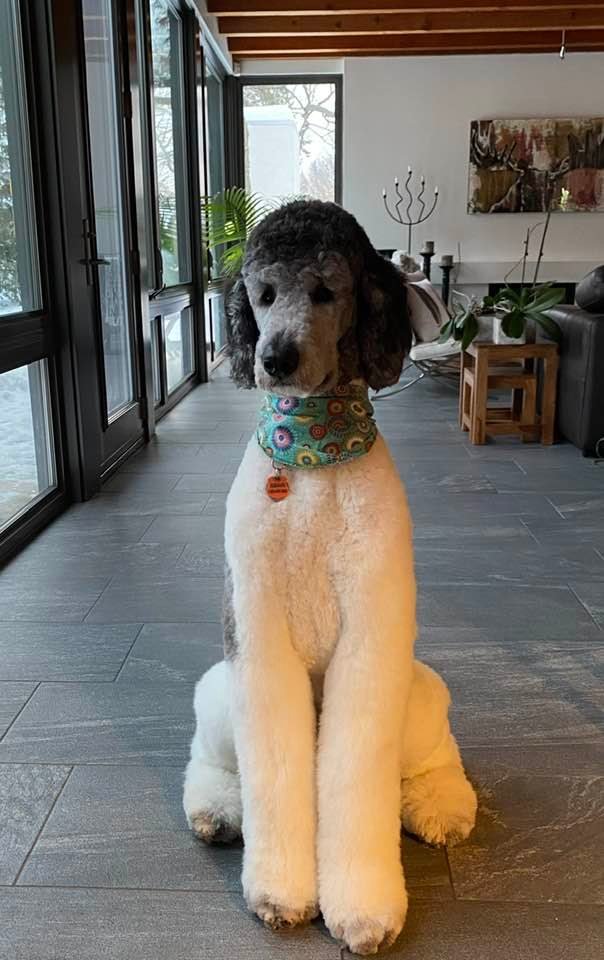 Nancy Bibeau💛💛💛 tweet media