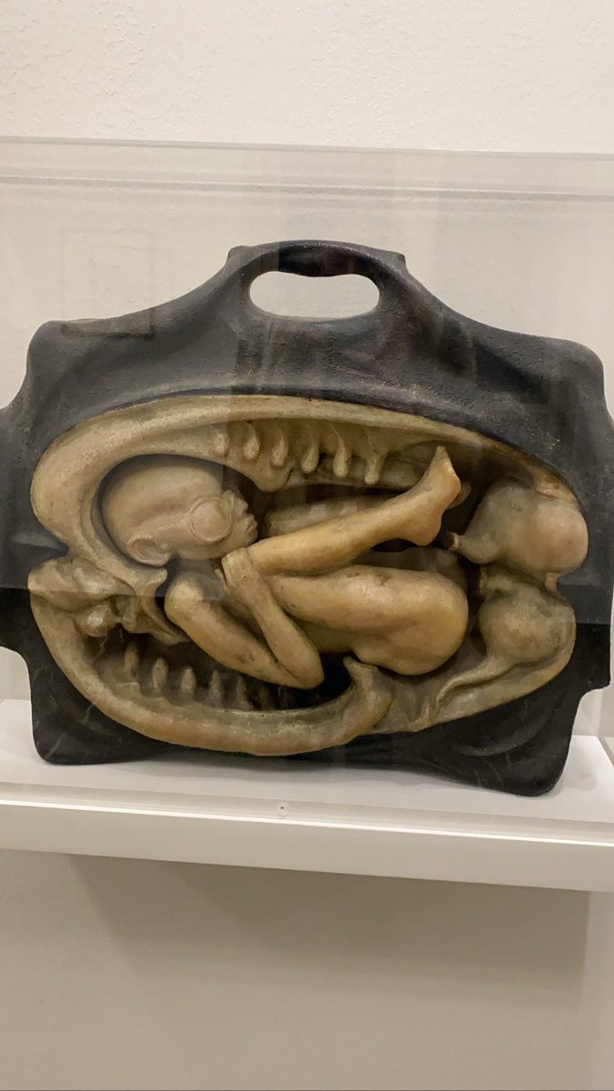 genesis fawn (@genesisfawn) on Twitter photo 