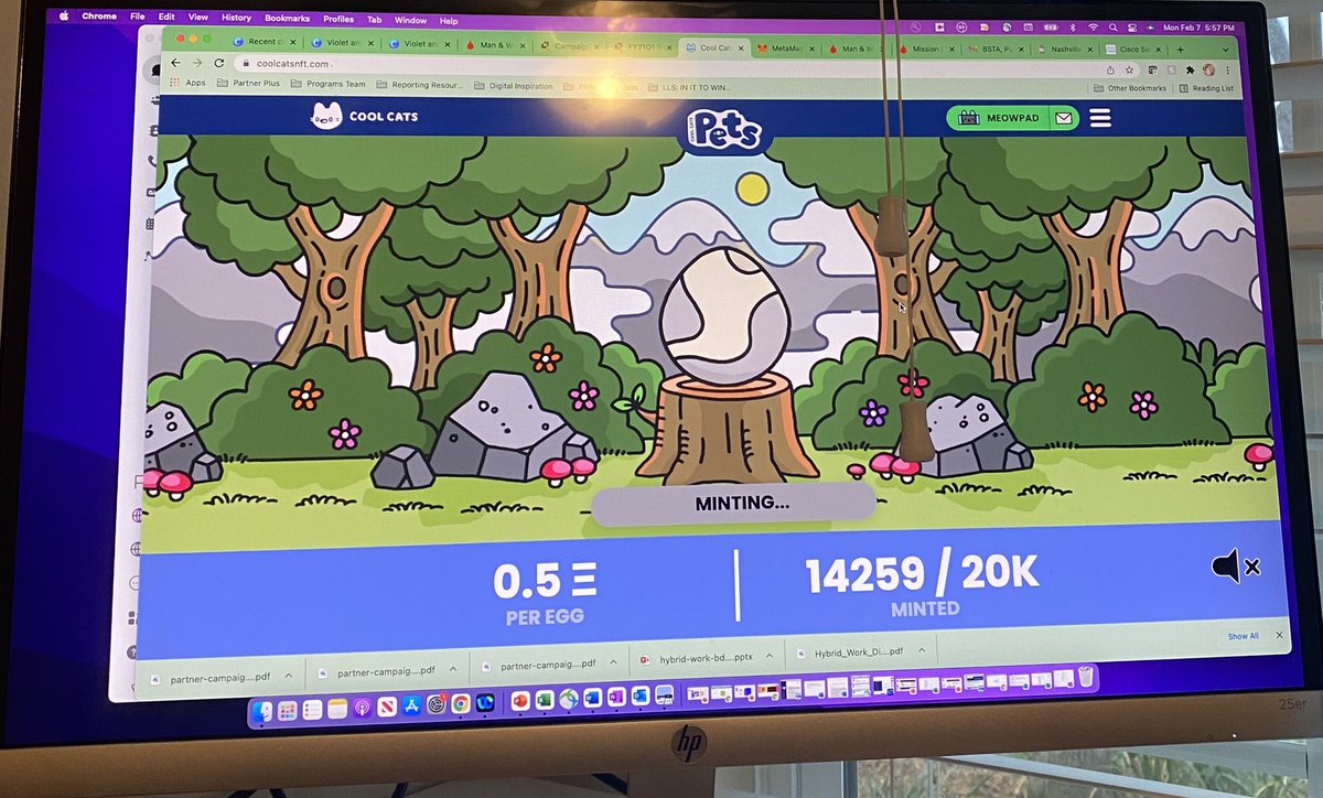 Jessica_J_Hunt's tweet photo. Minted my @coolcatsnft pet! Thanks @BossBeautiesNFT ! Floor currently 2.3 ETH! #ProbablyNothing #LetsGo https://t.co/PuJc5x4Ii3